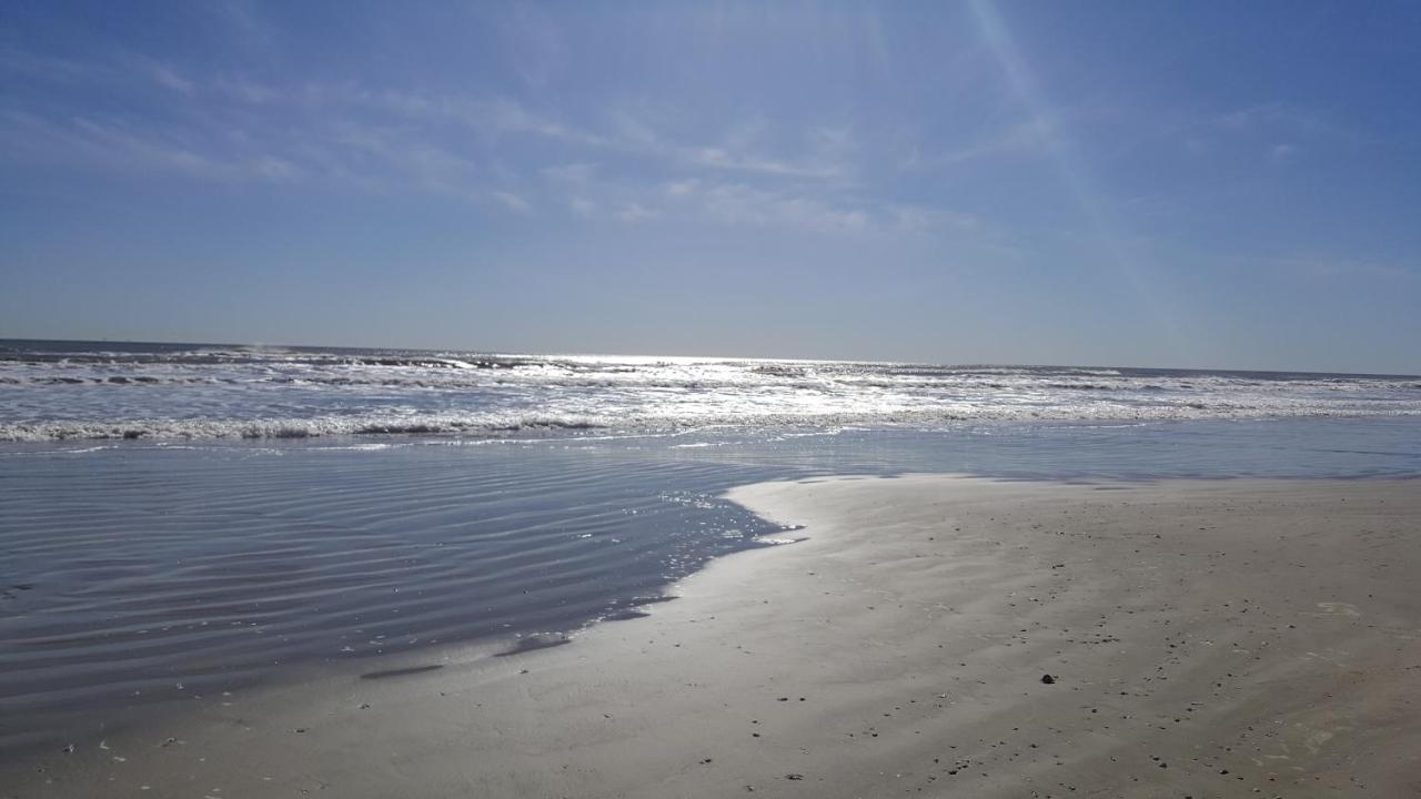 Private Beach -- Away From The Crowds - Ocean Views -Short Drive To Moody Gardens, Schlitter Bahn, Pleasure Pier Galveston Buitenkant foto